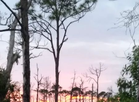 Calusa Cove RV Park