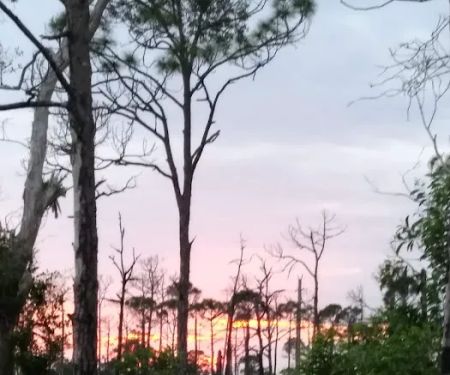 Calusa Cove RV Park