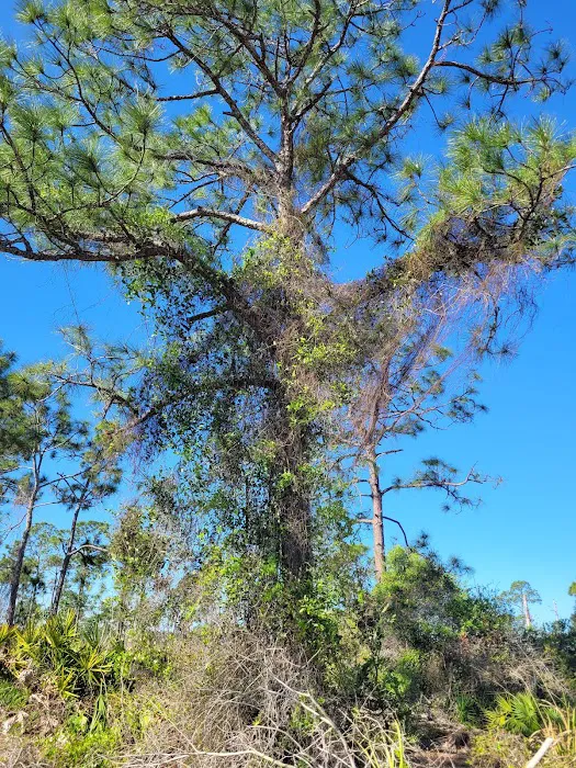 Calusa Cove RV Park Picture 4