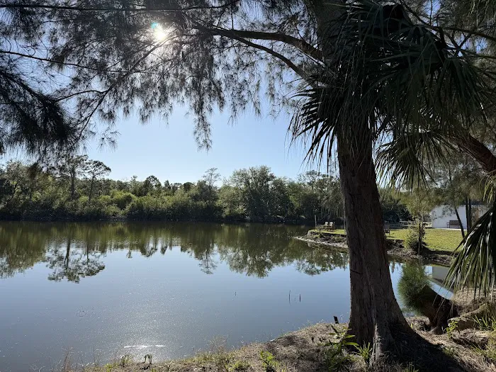 Gulf Coast Camping Resort Picture 5