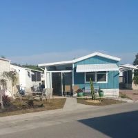 Limetree Park ico