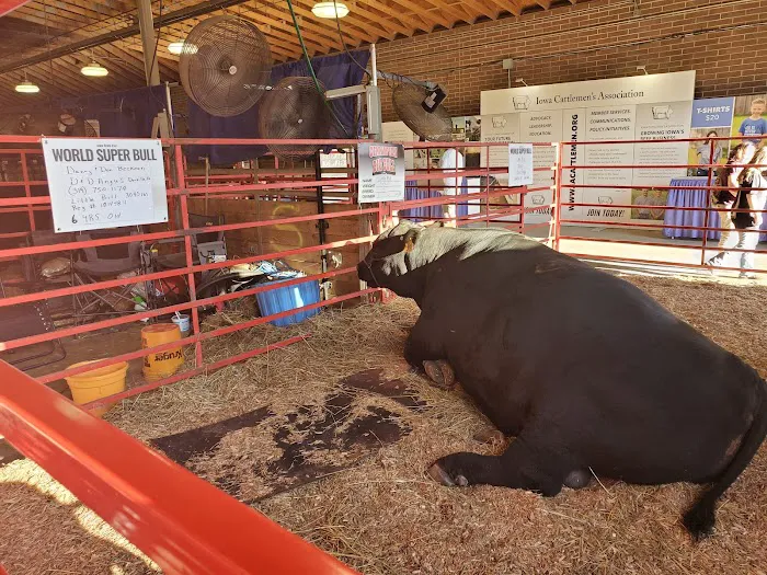 Iowa State Fair Campgrounds Picture 10