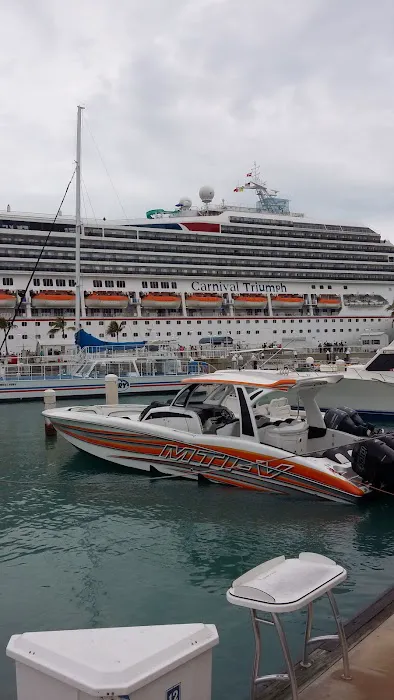 Port Carlos Cove Picture 5
