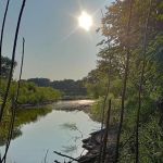 Raccoon river annex shangra la