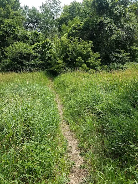 Raccoon river annex shangra la Picture 4