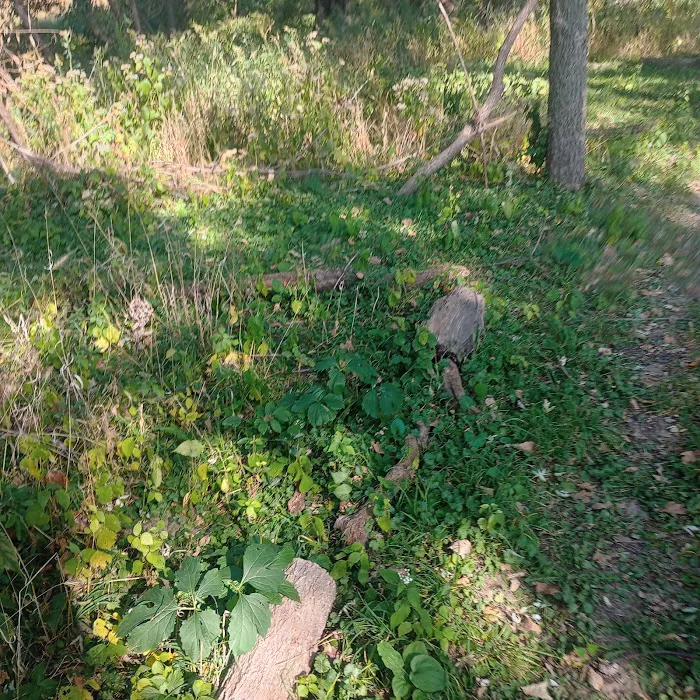 Raccoon river annex shangra la Picture 5