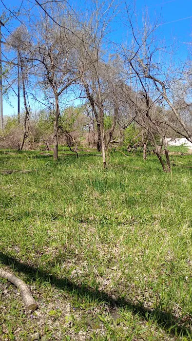 Raccoon river annex shangra la Picture 9