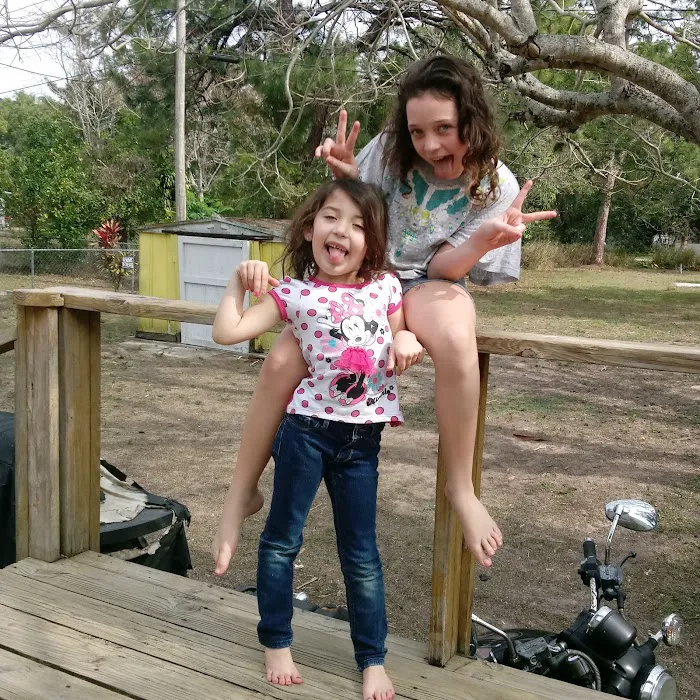Spring Woods Mobile Home Picture 6