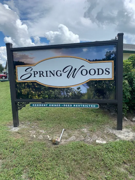 Spring Woods Mobile Home Picture 8