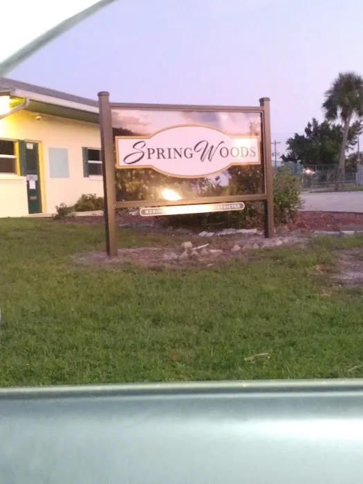 Spring Woods Mobile Home Picture 9