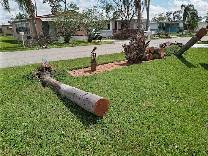 Forest Park Mobile Home Park Picture 6