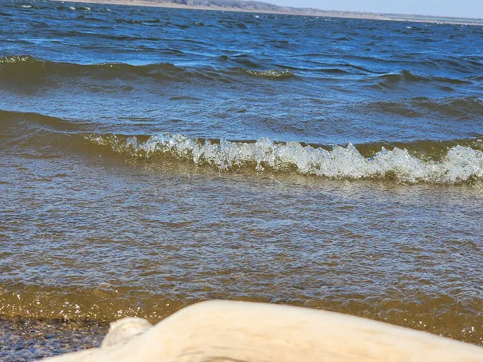 Oak Grove Beach Picture 7