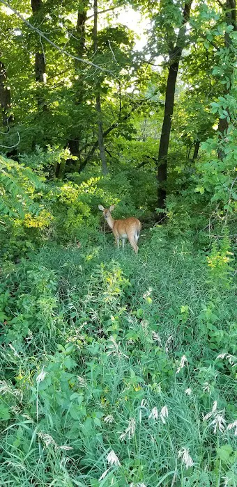Prairie Flower Recreation Area Picture 3