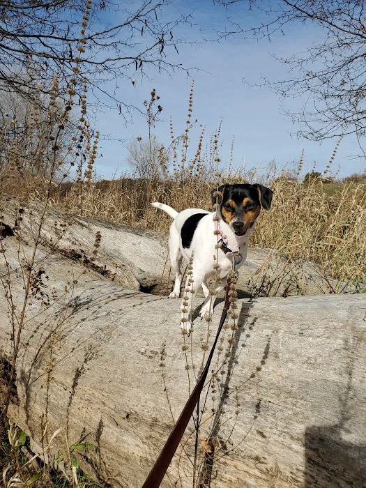 Prairie Flower Recreation Area Picture 2