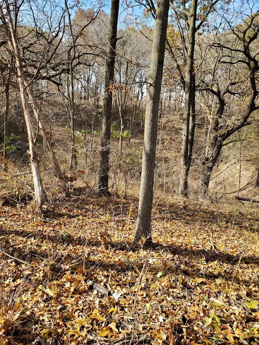 Prairie Flower Recreation Area Picture 9