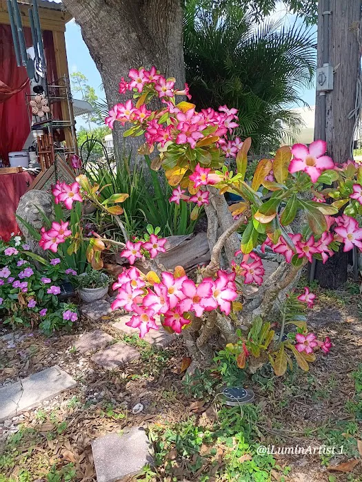 Labonte's Garden RV Park Inc Picture 7