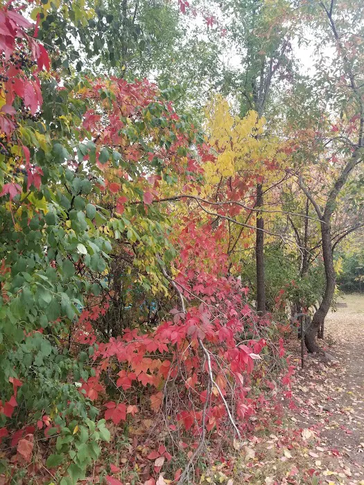 Greenwood Campground Picture 4