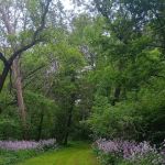 Covered Bridge Campground