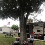 Swan Lake Village & RV Resort