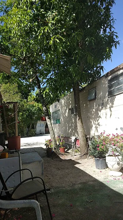 Melaleuca Trailer Park Picture 1