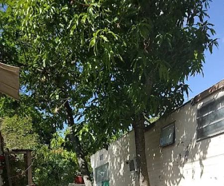 Melaleuca Trailer Park