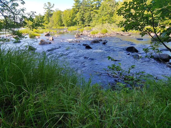 Connors Lake State Campground Picture 8