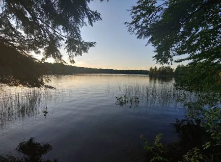 Connors Lake State Campground
