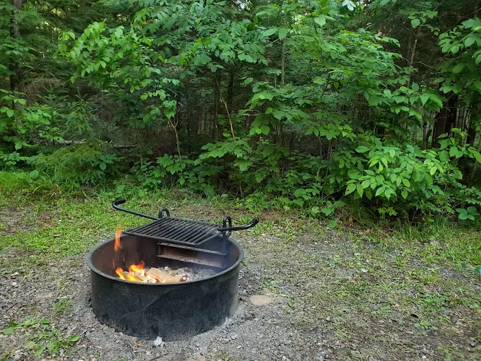 Connors Lake State Campground Picture 9