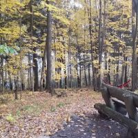 Lake of the Pines State Campground ico