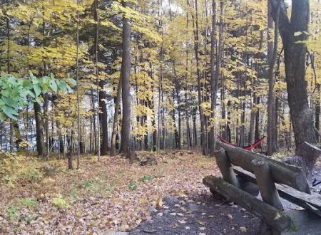 Lake of the Pines State Campground