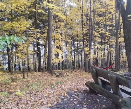 Lake of the Pines State Campground