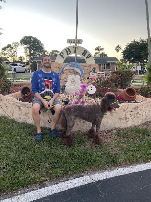 Palm Beach Traveler RV Park Picture 2