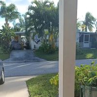 Maralago Cay ico