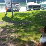 Wolf's Den Tavern & Resort