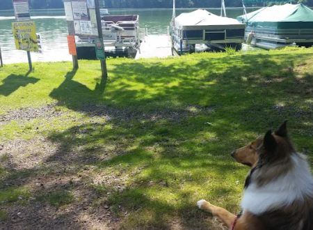 Wolf's Den Tavern & Resort