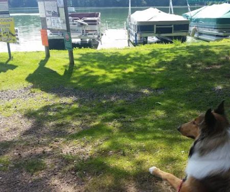 Wolf's Den Tavern & Resort