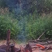Cannon River Wilderness Campsite 2 ico