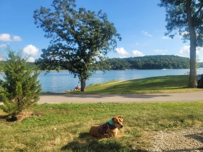 Lake Byllesby Campground Picture 3