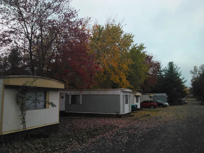 Saluki Homes Picture 6