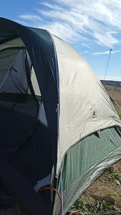 King of the Road Travel Park Picture 1