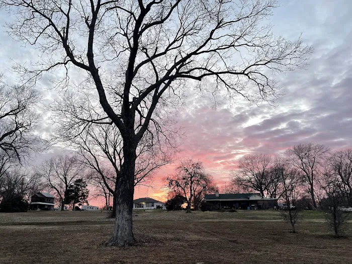 Skyline RV Park & Tiny Homes Picture 7