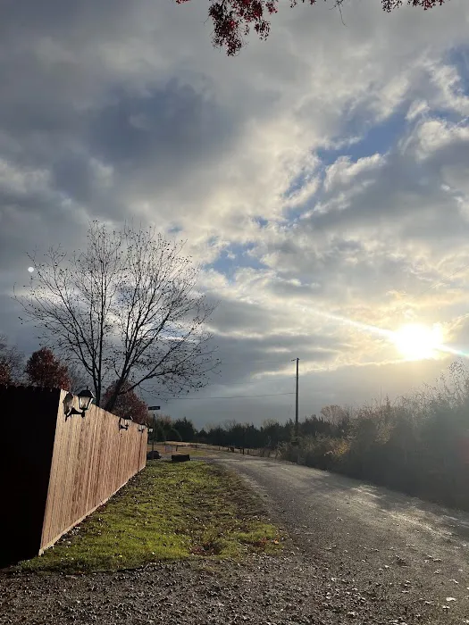 Skyline RV Park & Tiny Homes Picture 3