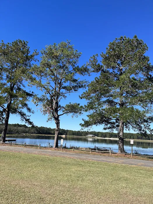 Reed Bingham State Park - Campground Picture 1