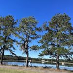Reed Bingham State Park - Campground