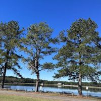 Reed Bingham State Park - Campground ico