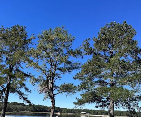Reed Bingham State Park - Campground
