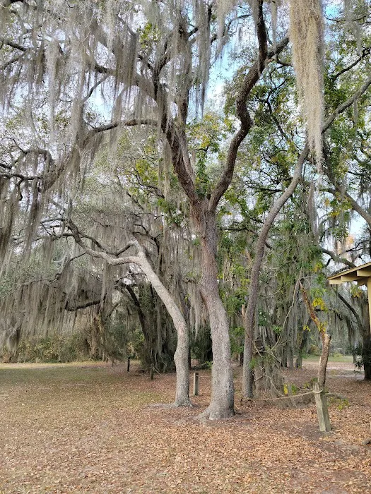 Reed Bingham State Park - Campground Picture 3