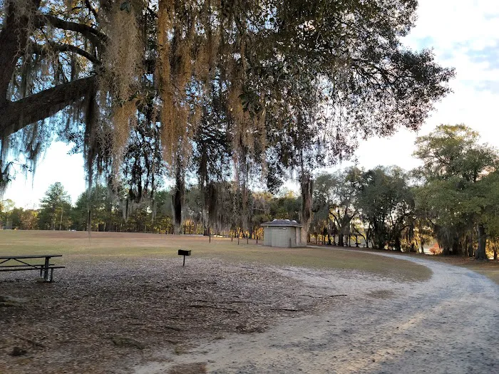Reed Bingham State Park - Campground Picture 5
