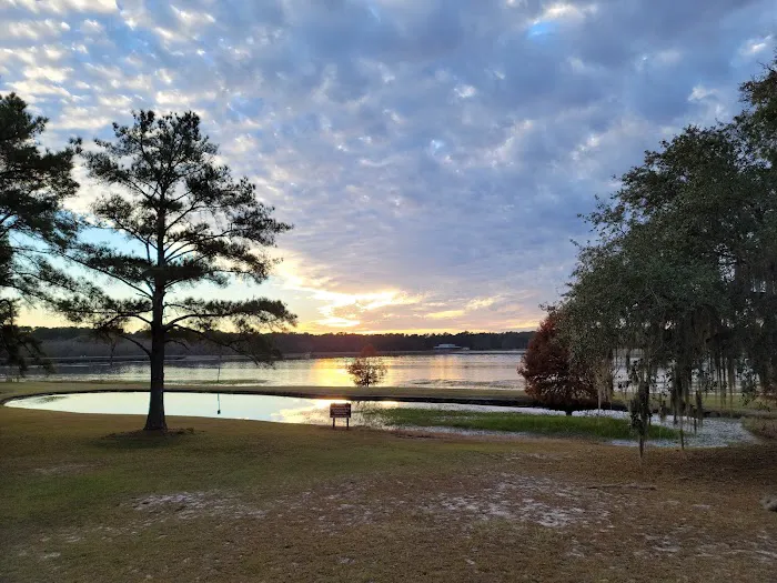 Reed Bingham State Park - Campground Picture 9