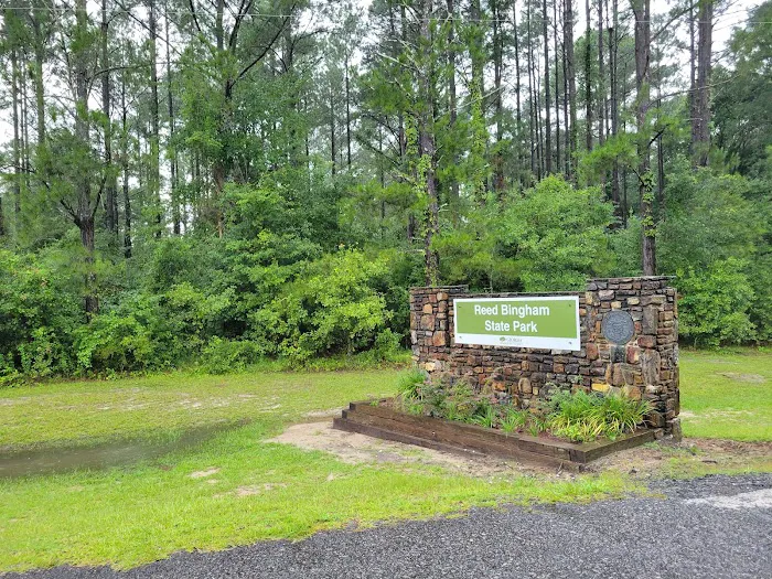 Reed Bingham State Park - Campground Picture 7